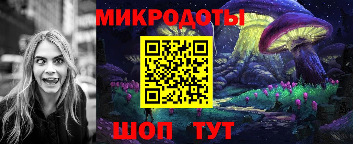 Псилоцибиновые грибы мицелий Кинель