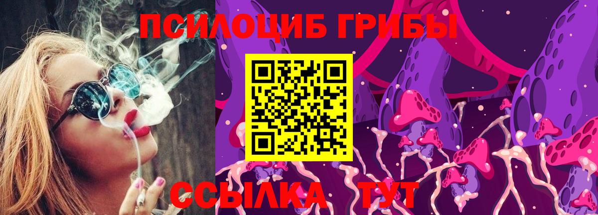 Галлюциногенные грибы ЛСД  Галлюциногенные грибы GOLDEN TEACHER  наркошоп  Кинель  Вход с VPN 